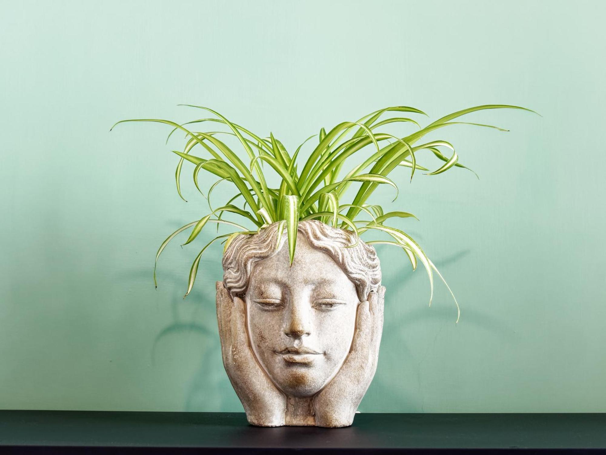 ויקו אקוונסה Susanna Boutique Home מראה חיצוני תמונה