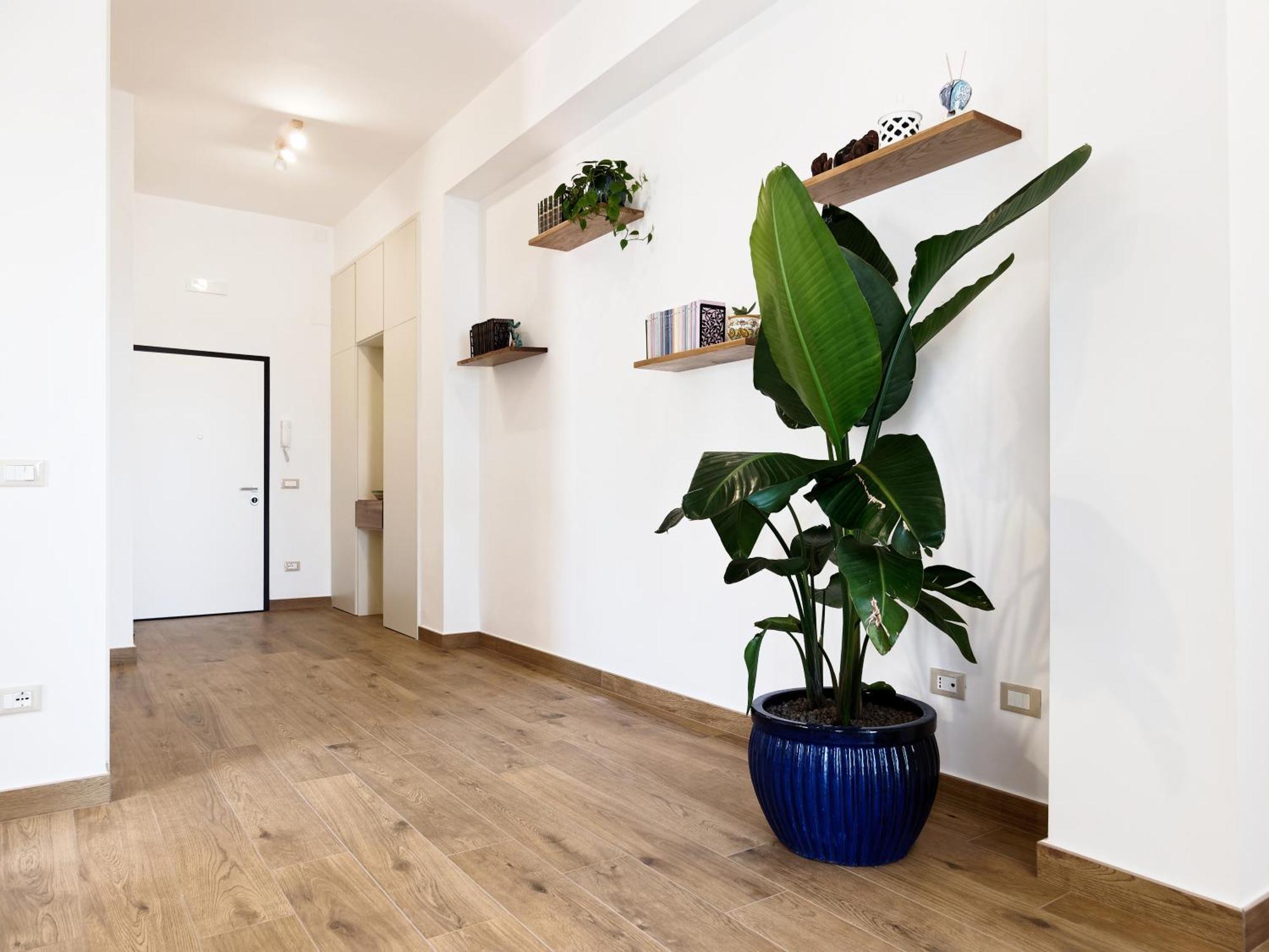 ויקו אקוונסה Susanna Boutique Home מראה חיצוני תמונה