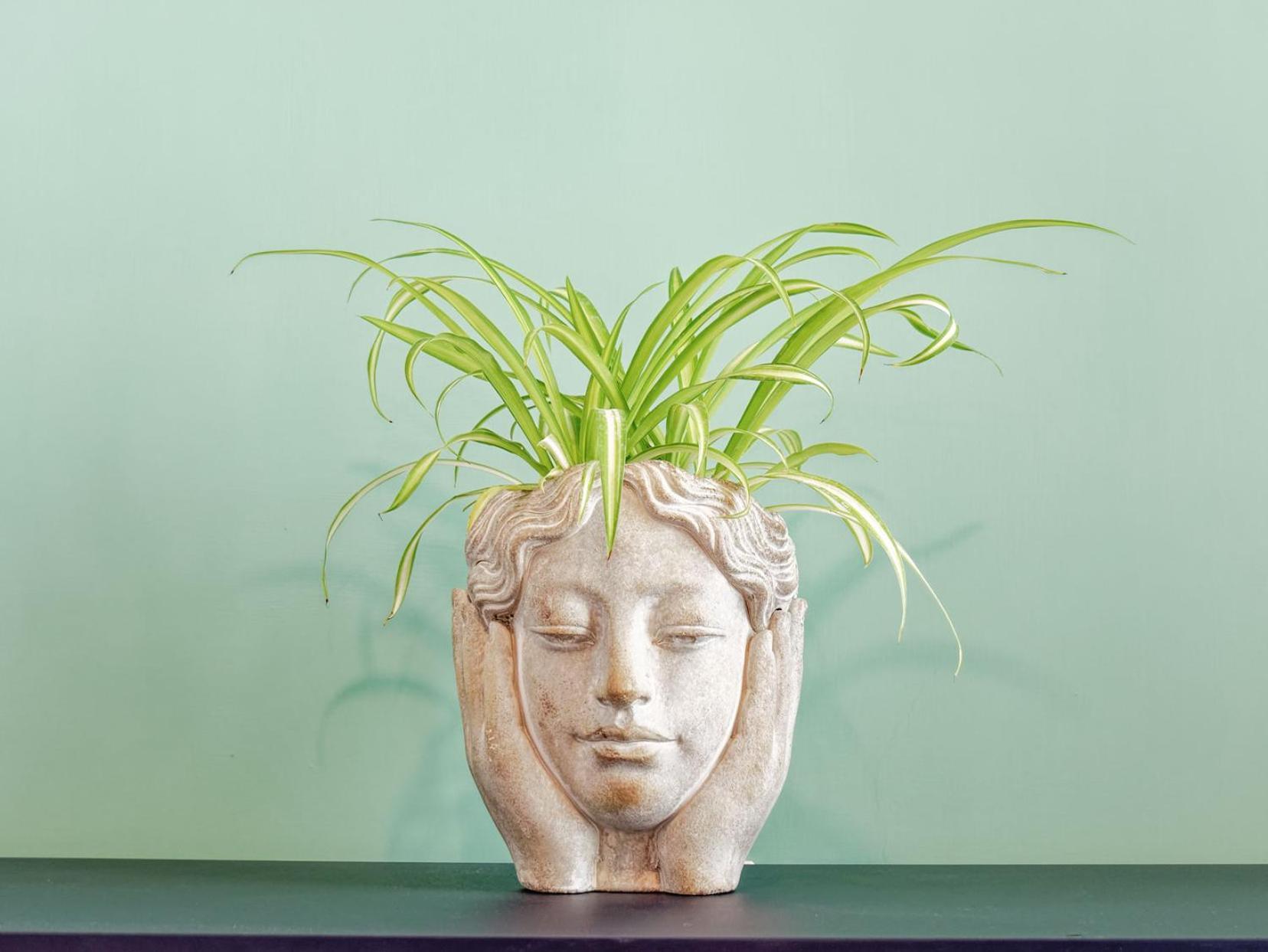 ויקו אקוונסה Susanna Boutique Home מראה חיצוני תמונה